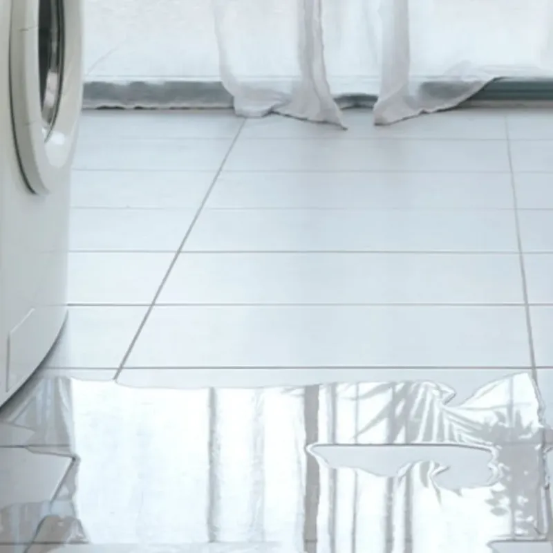 Appliance Leak Cleanup in Covington, VA