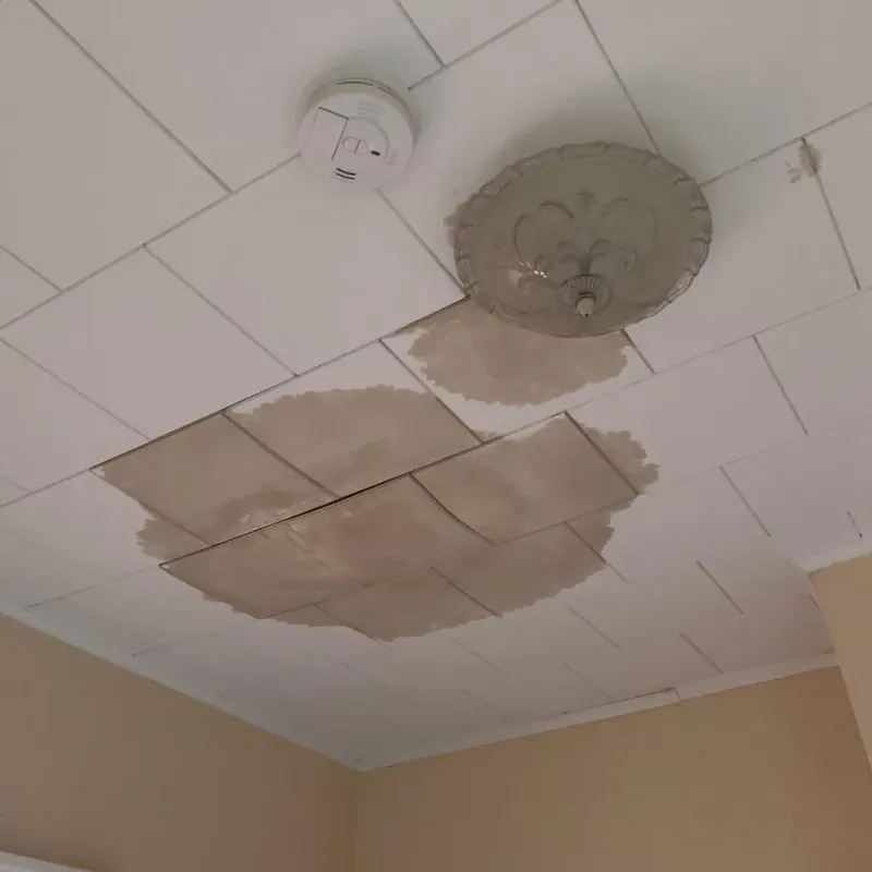 Ceiling Water Damage Repair in Covington, VA