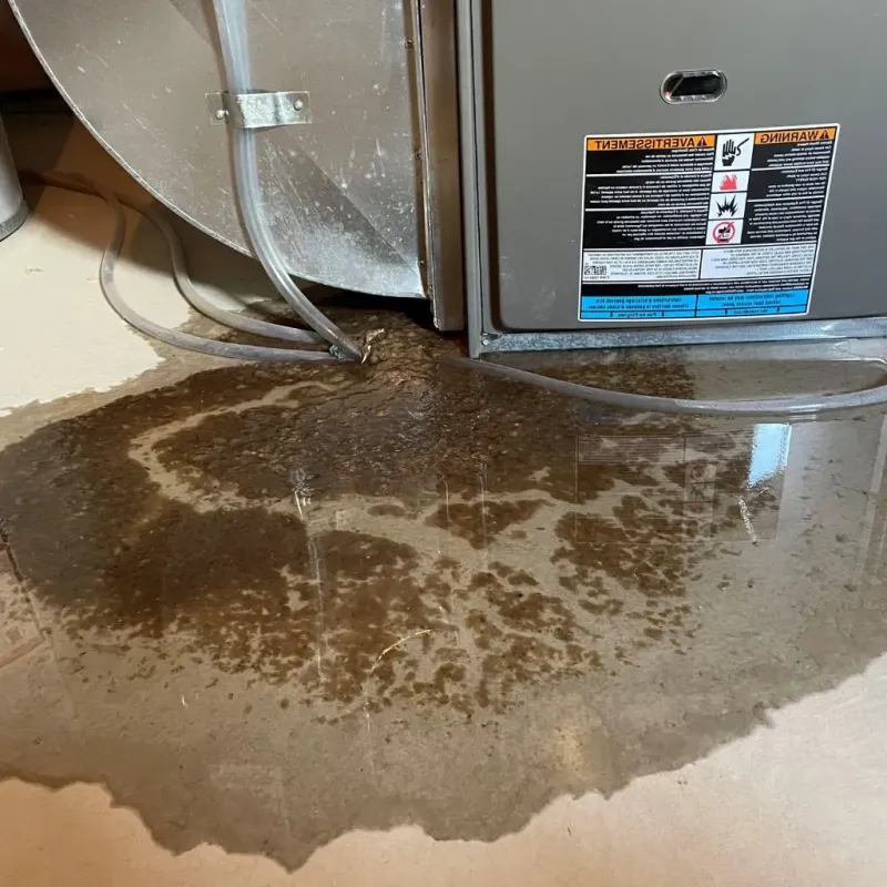 Pipe Burst and Leak Restoration in Covington, VA
