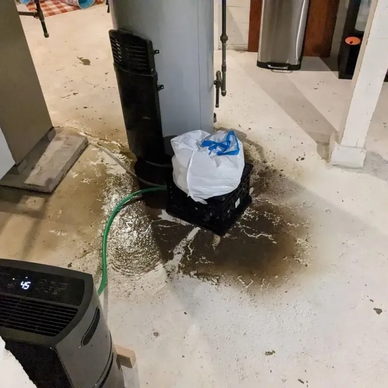 Sewage Backup Cleanup Service in Covington, VA
